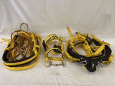 Black and yellow webbing pony harness