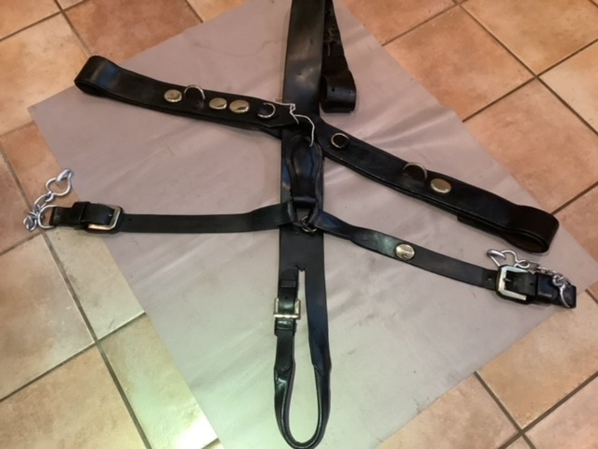 Trace harness for a single heavy horse - Image 2 of 2