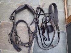 Set of black harness, bridle, pad with tugs, and two breastcollars, all brass fittings