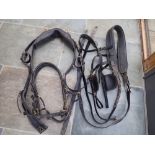 Set of black harness, bridle, pad with tugs, and two breastcollars, all brass fittings