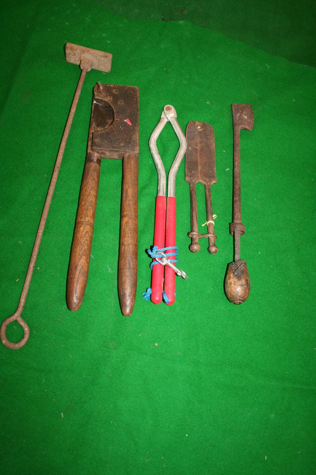 Quantity of assorted veterinary tools