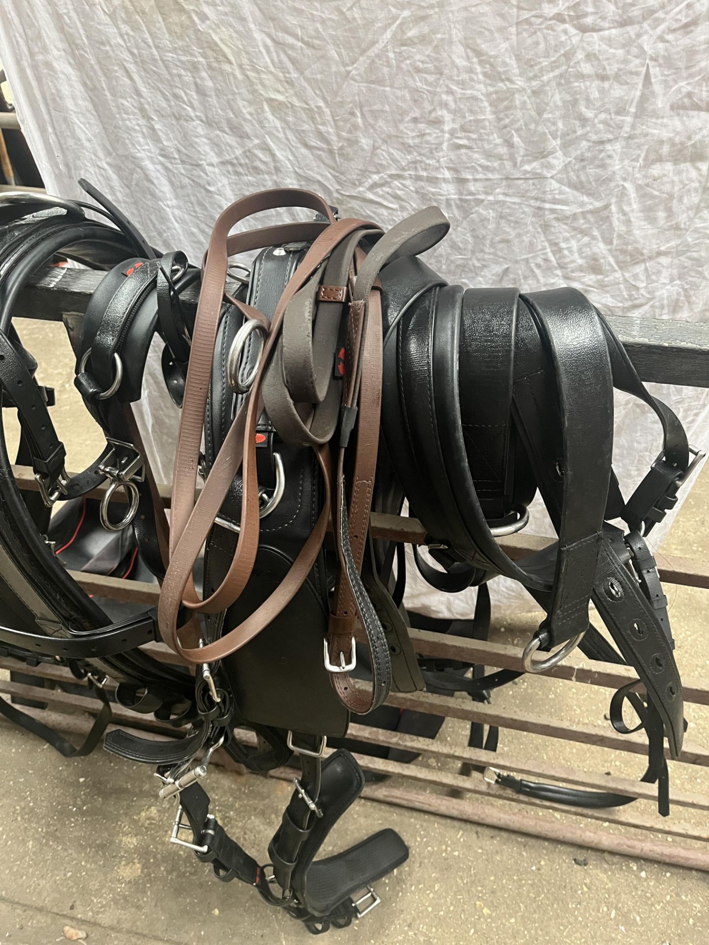 Full size classic Zilco pairs harness, complete set with harness bag - Image 3 of 5