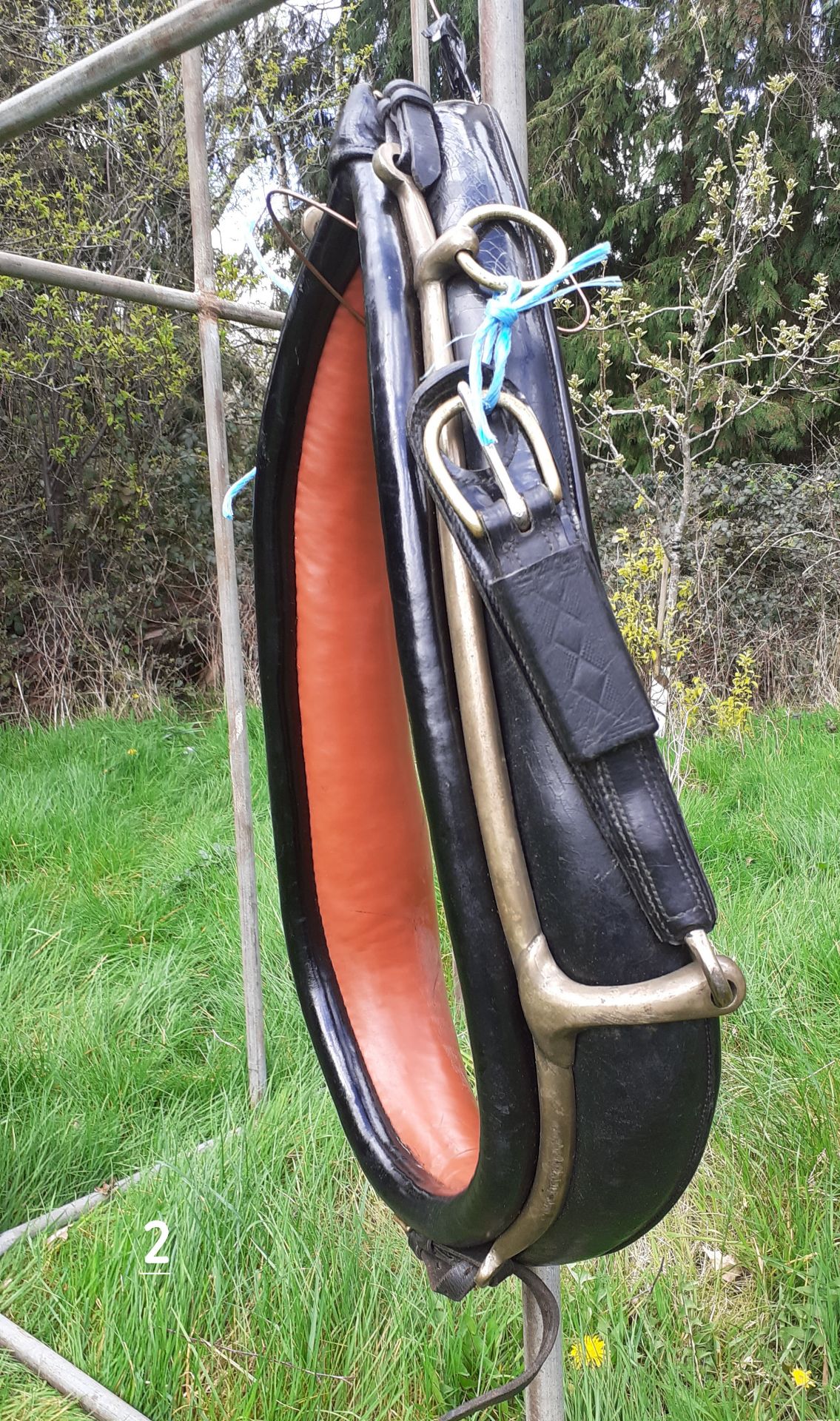 Working collar, 23" x 9" with brass hames - Image 2 of 2