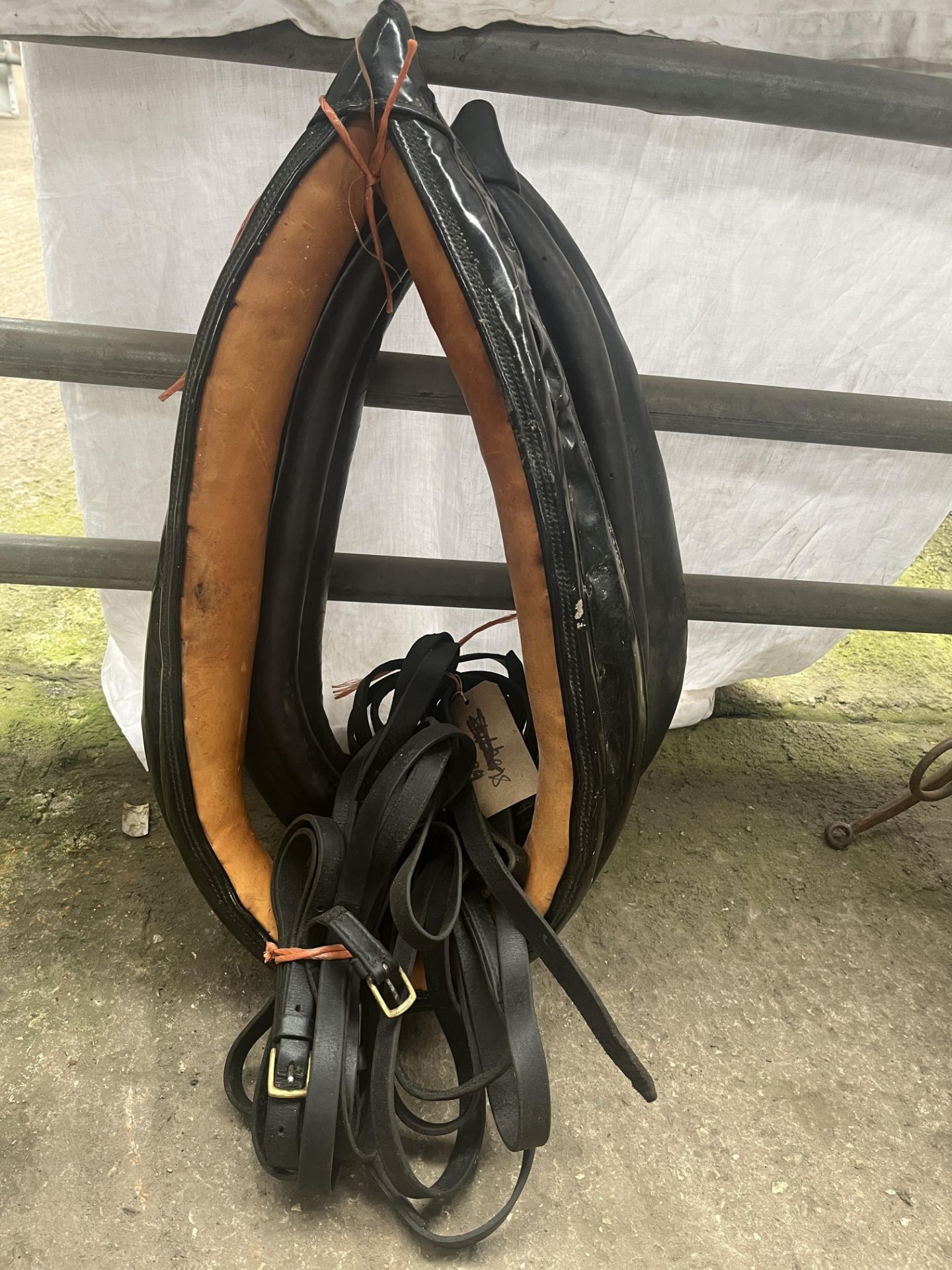 Two black leather collars measuring 18" and 21" and a pair set of reins