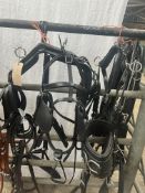 Set of cob size harness with empathy collar, made of biothane. This lot carries VAT.