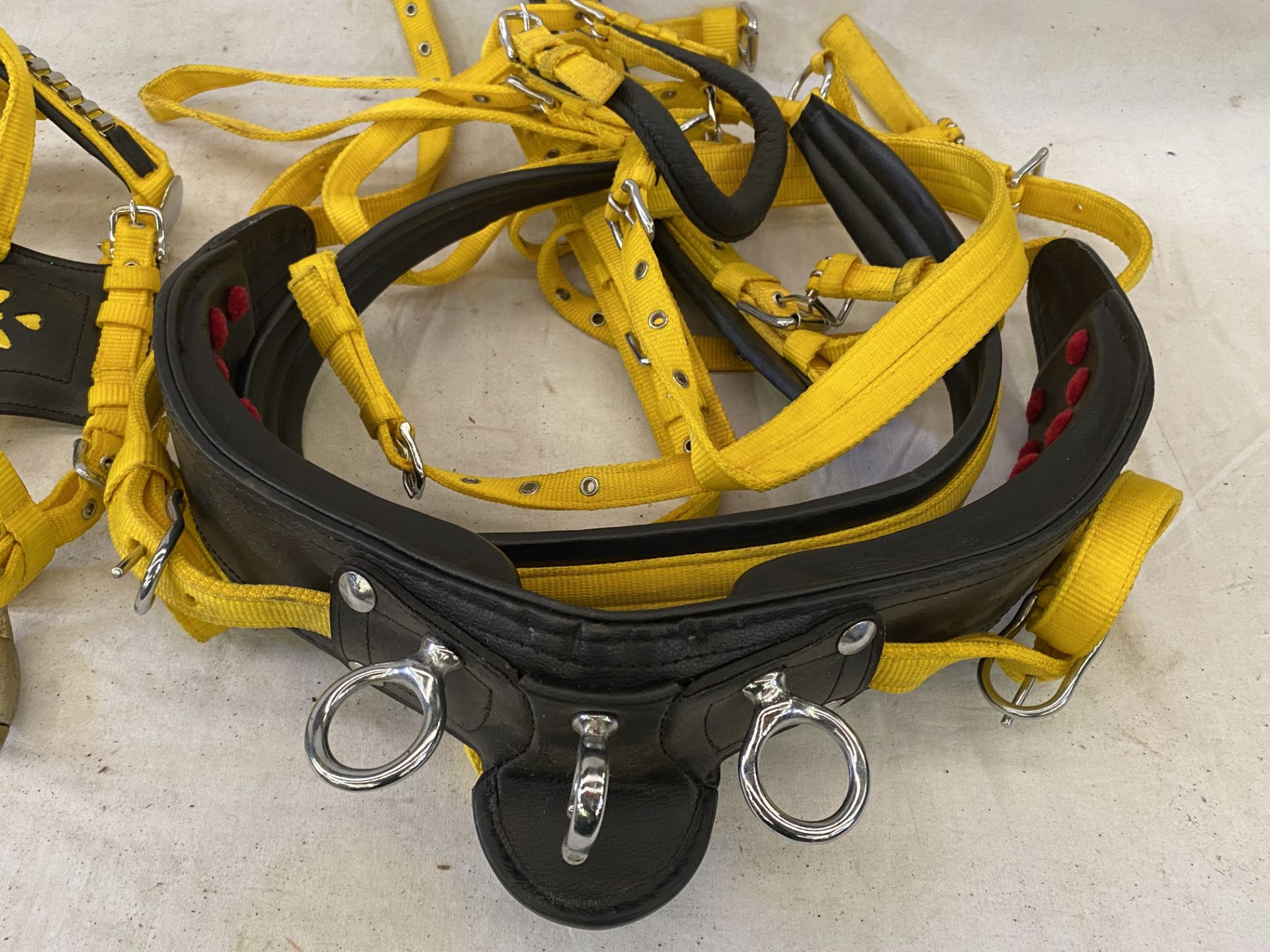Black and yellow webbing pony harness - Image 4 of 4