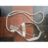 Original Yorkshire halter.