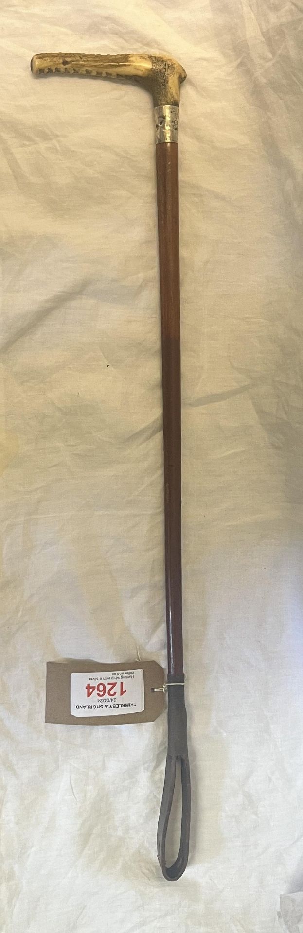 Hunting whip with a silver collar and cane shaft.