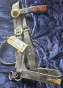 Shire in hand English leather bridle with beehive rosettes and brass buckles