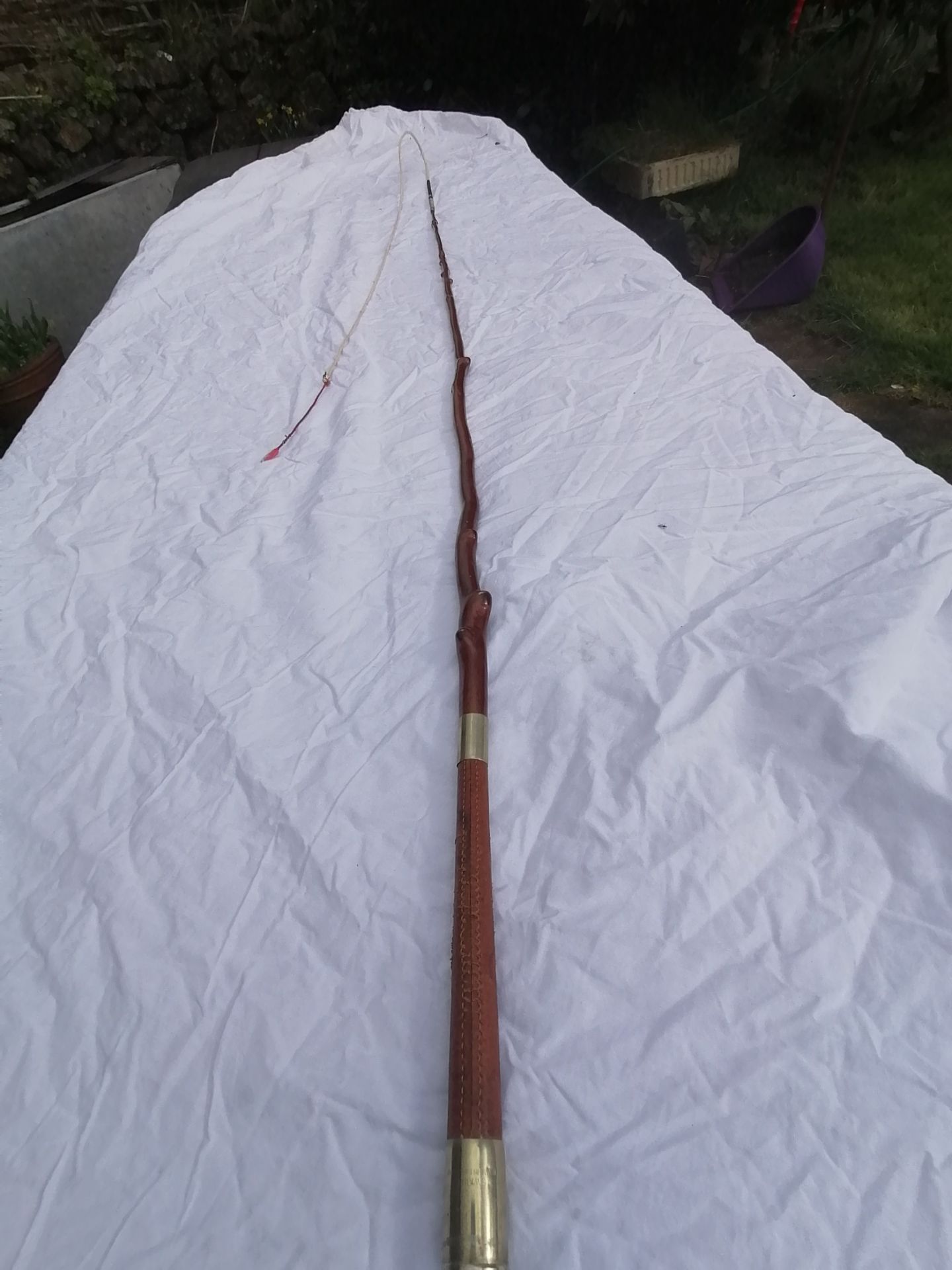 66-inch Swaine holly whip