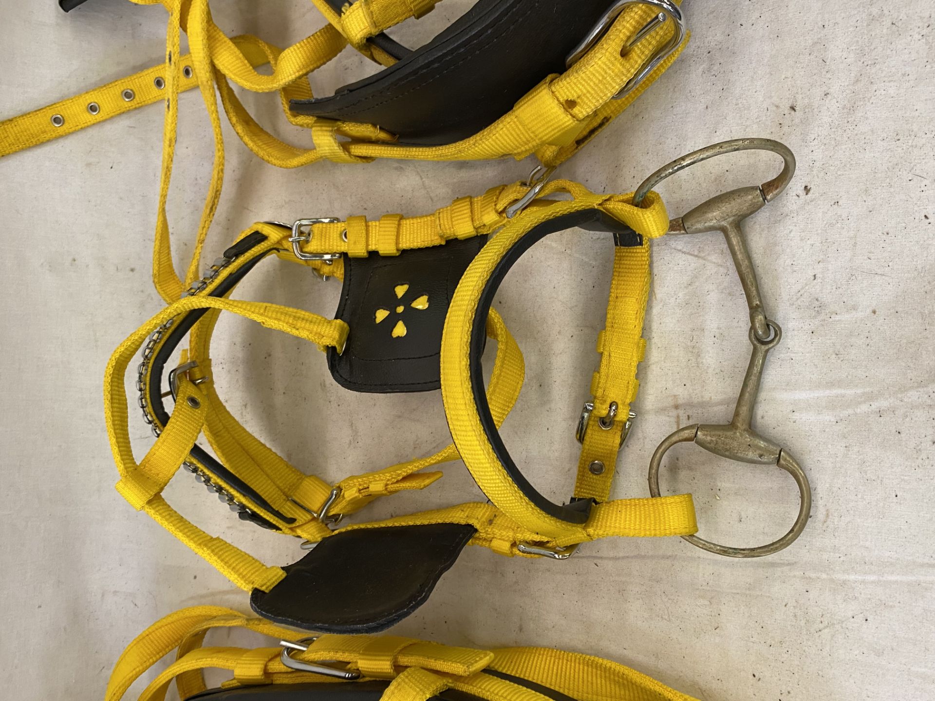 Black and yellow webbing pony harness - Image 2 of 4