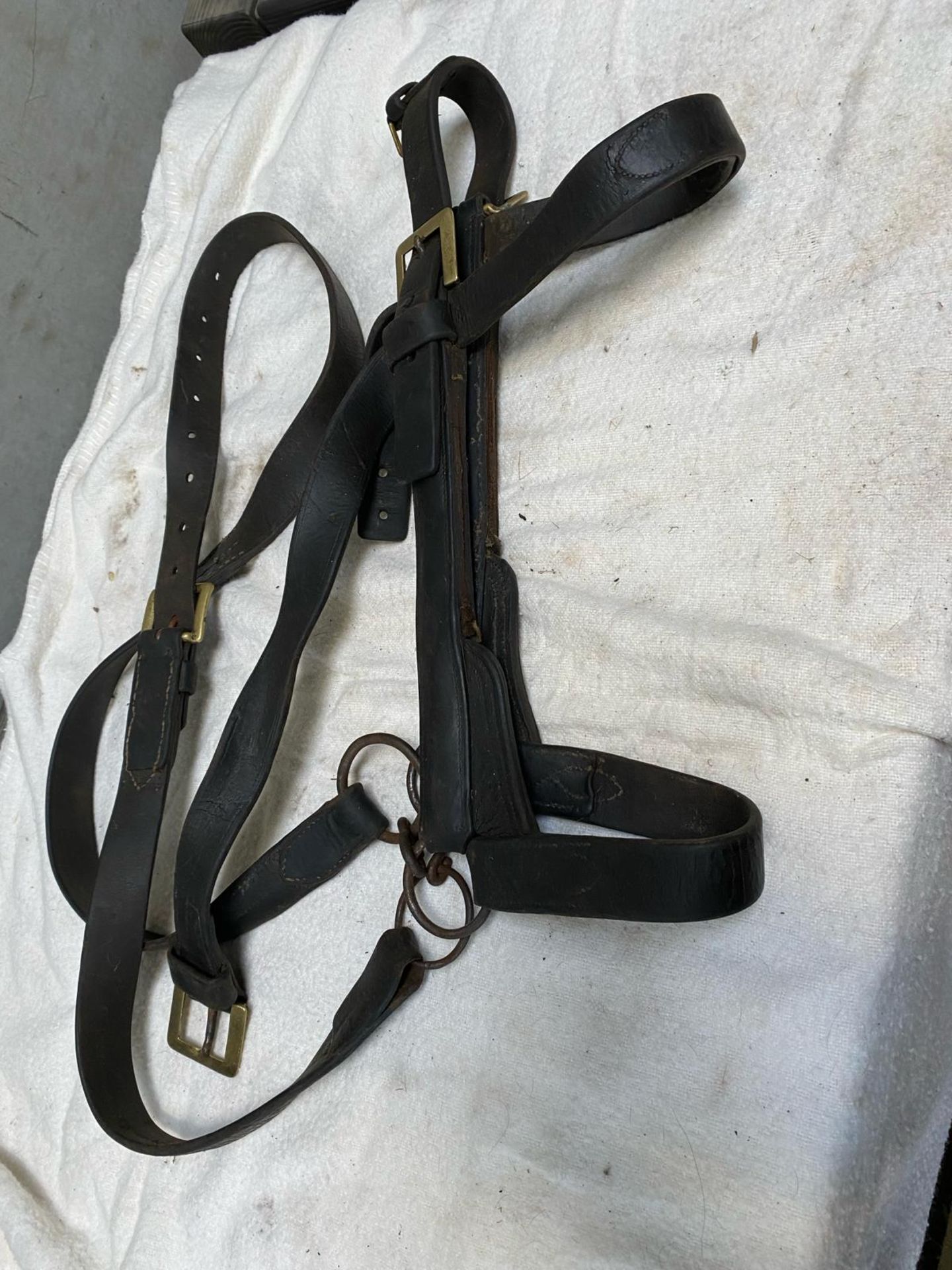 Two bridles to fit a heavy horse both in black leather one with bunkers, one without. - Bild 2 aus 3