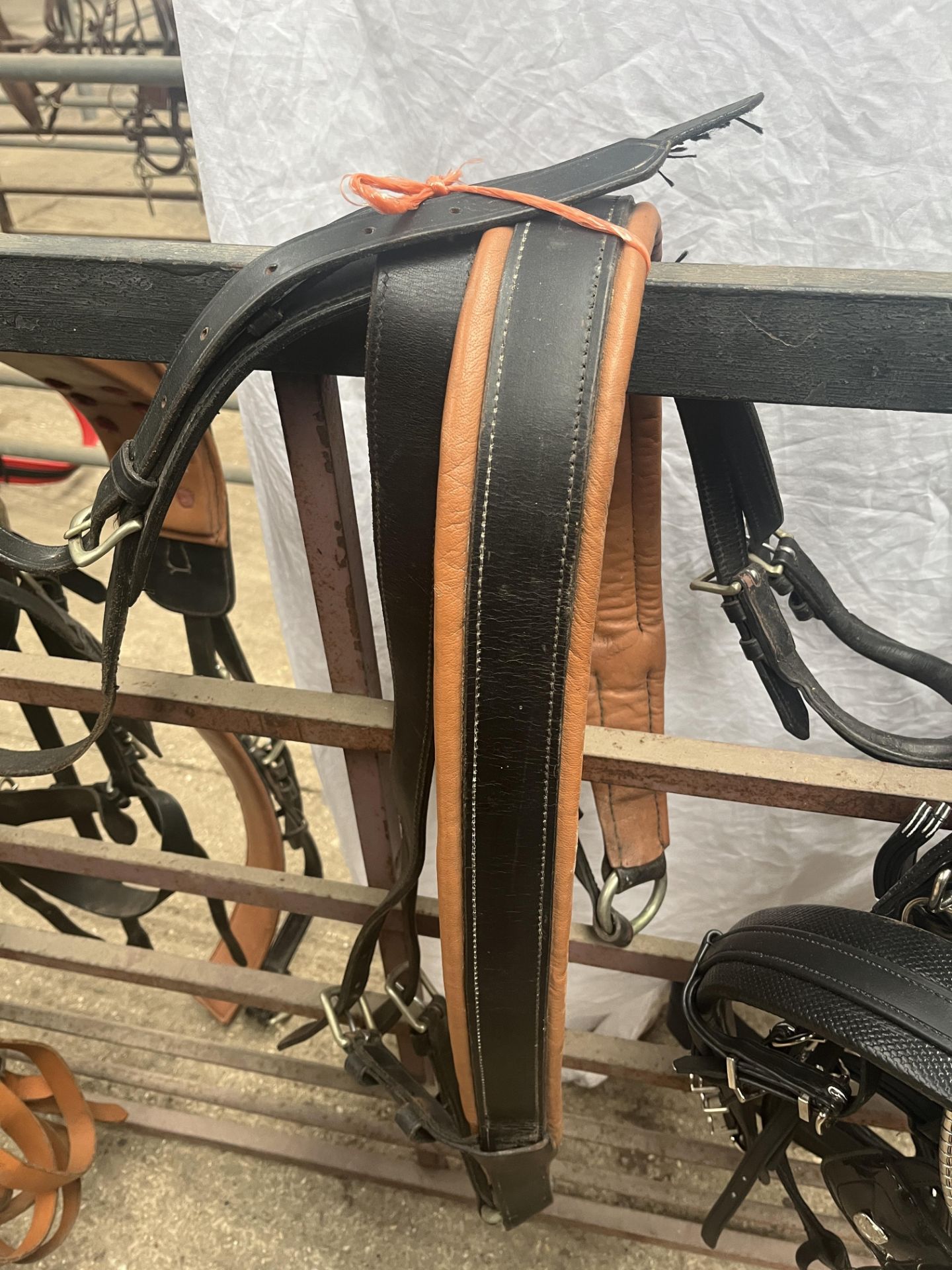 Set of cob harness. This lot carries VAT. - Image 2 of 2