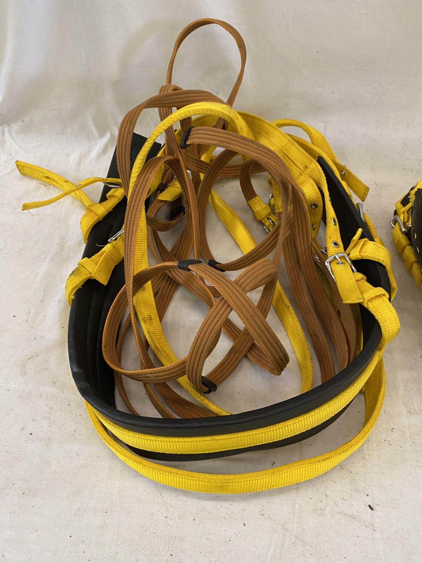 Black and yellow webbing pony harness - Image 3 of 4
