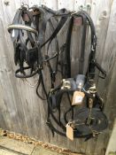 Set of English brass breastcollar harness to fit a 12-13hh