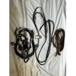 Set of black brass patent breast collar show harness