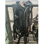 Heavy horse leather breeching and reins