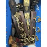 Large quantity of horse brasses on leather lead reins