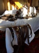 Small Shetland pony Pair set of brown English leather breast collar harness