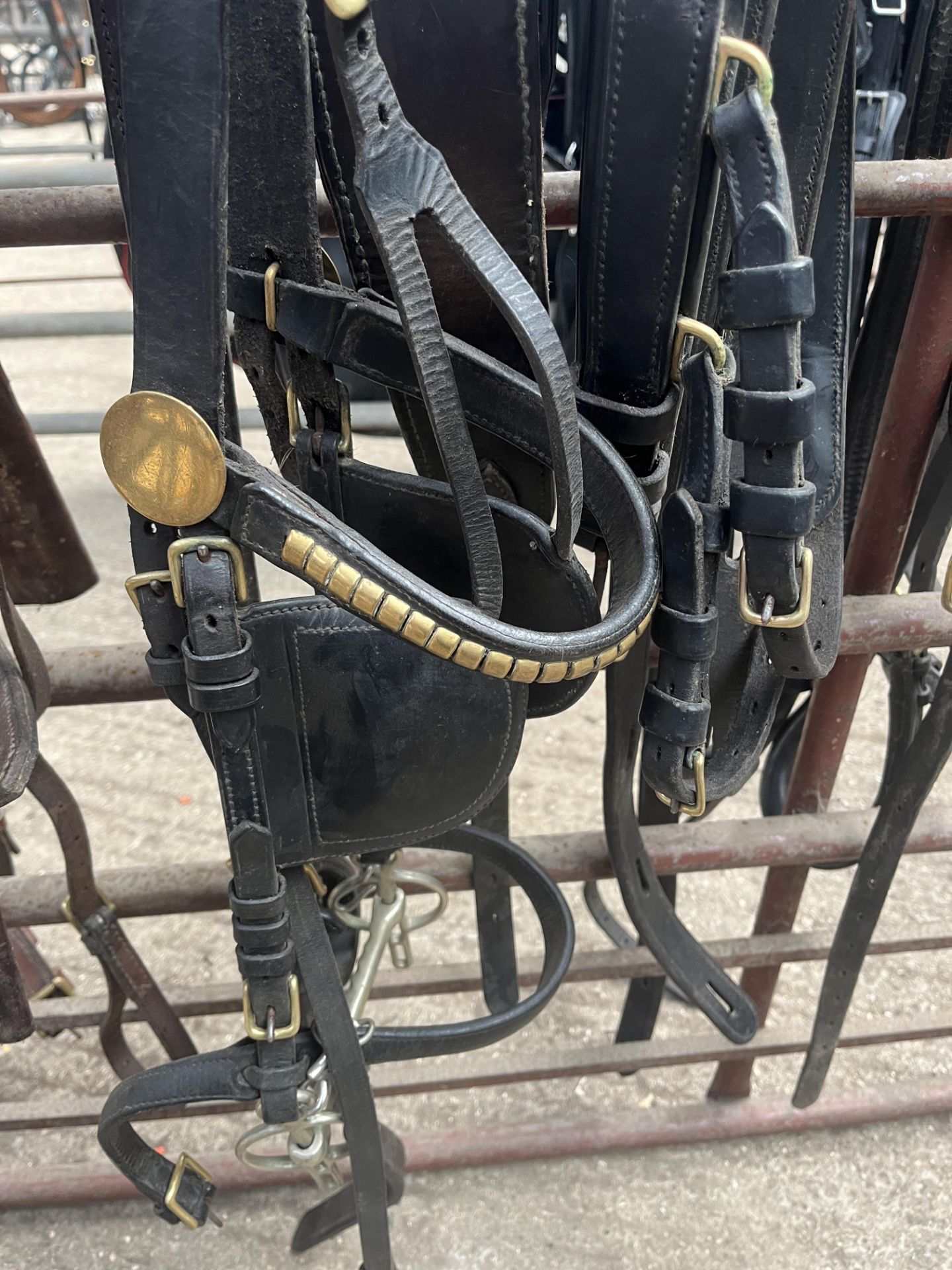 Set of brown/brass breastcollar harness to fit approx. 12 to 13hh. - Image 2 of 2