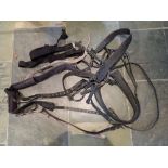 Harness suitable for breaking, with soft pad and breast collar