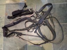 Harness suitable for breaking, with soft pad and breast collar