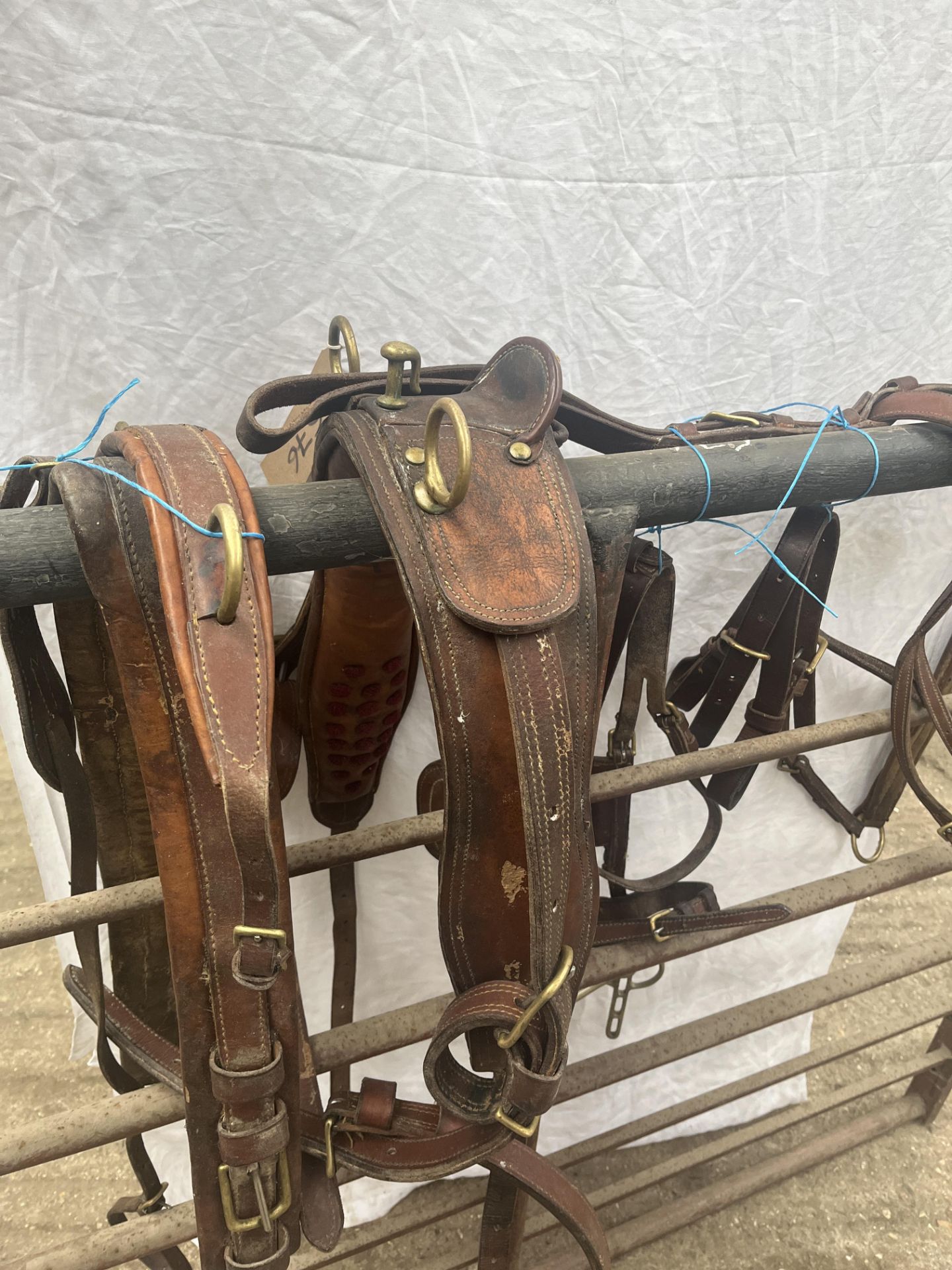 Complete set of brown leather cob size harness (no reins) - Image 2 of 2