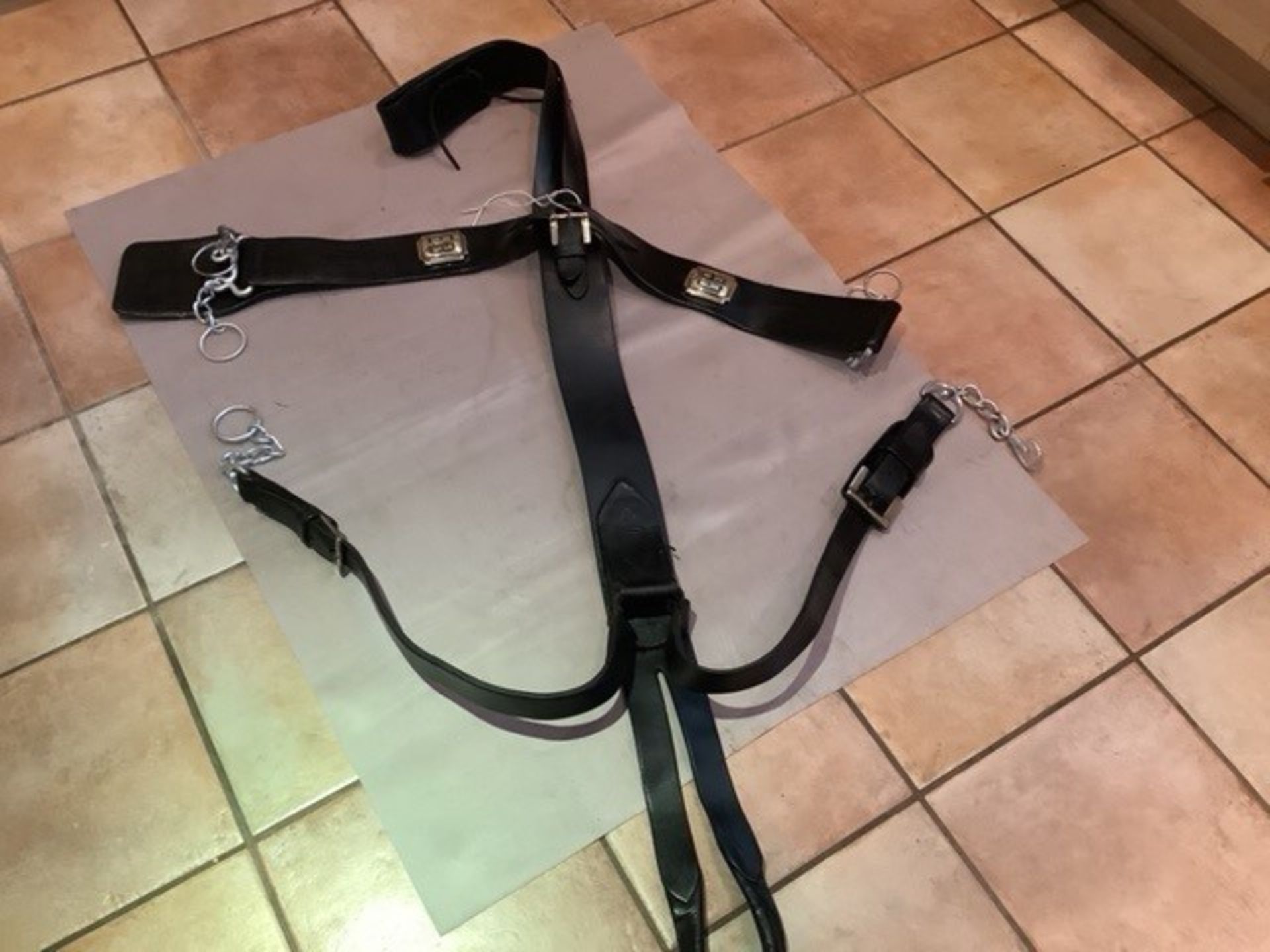 Trace harness for a single heavy horse