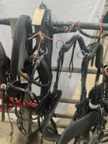 Set of full size Pair harness made of biothane. This lot carries VAT.