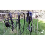 Full size black and brass patent leather breastcollar show harness, without reins