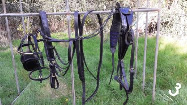 Full size black and brass patent leather breastcollar show harness, without reins