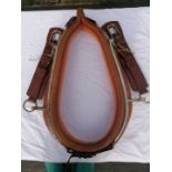 Brown 22-inch collar