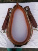 Brown 22-inch collar