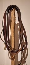 Full size training reins