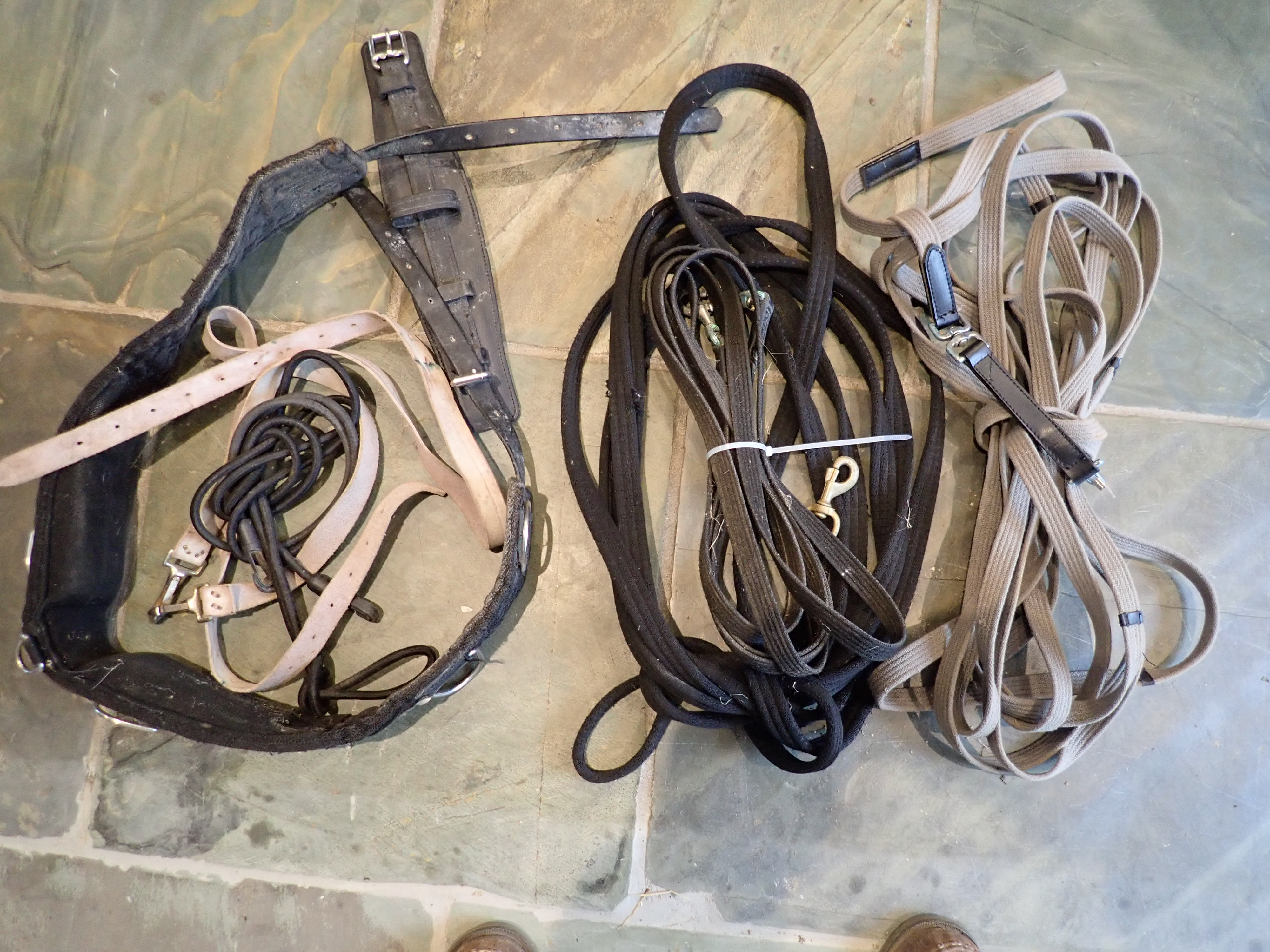 Mixed lot of lunging equipment