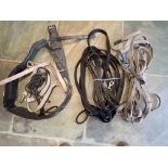 Mixed lot of lunging equipment