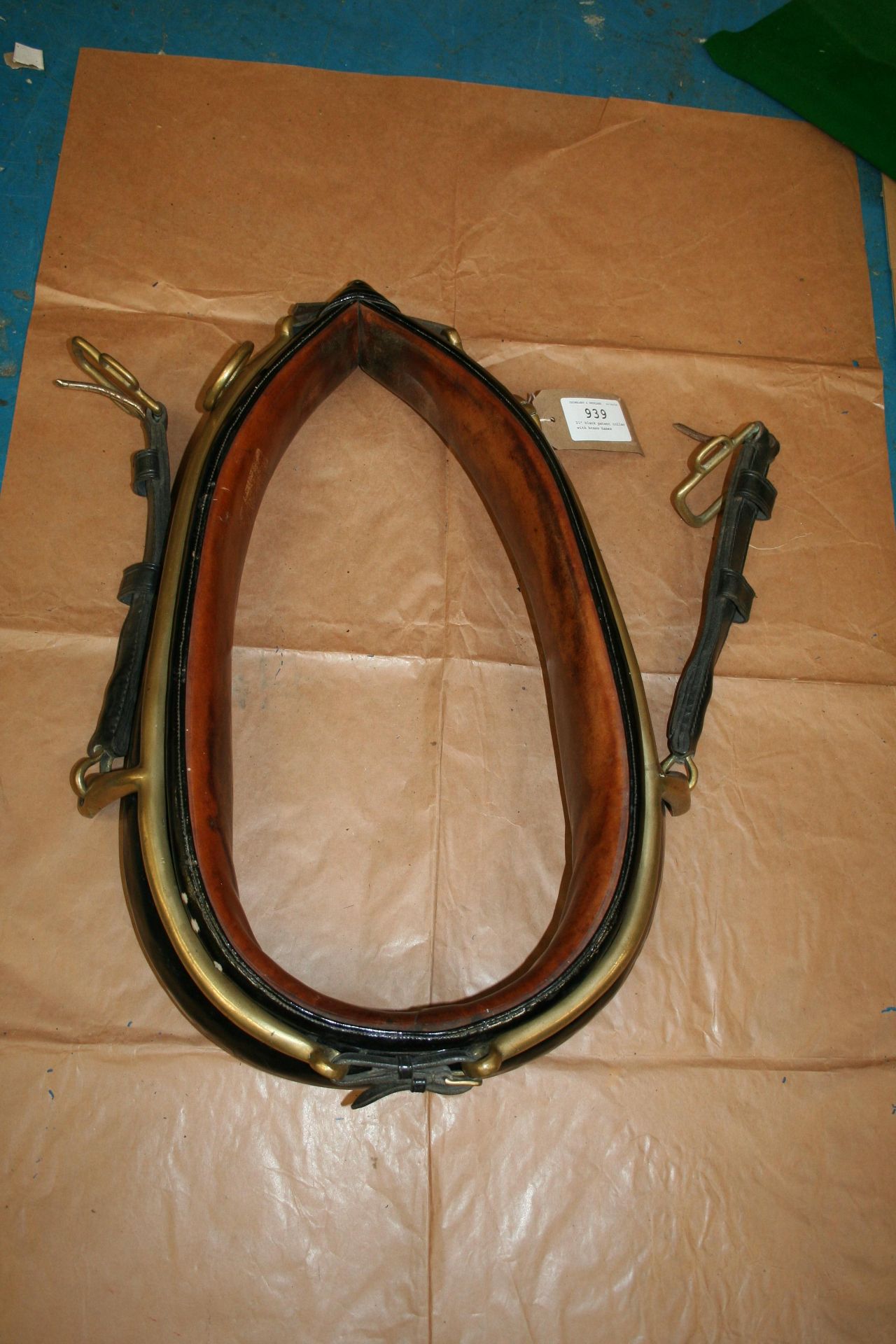 21" black patent collar with brass hames