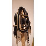 Cob size patent leather collar with brass hames with a cob size patent leather bridle and crupper
