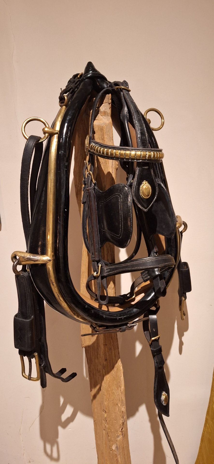 Cob size patent leather collar with brass hames with a cob size patent leather bridle and crupper