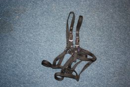 Two small pony underhalters