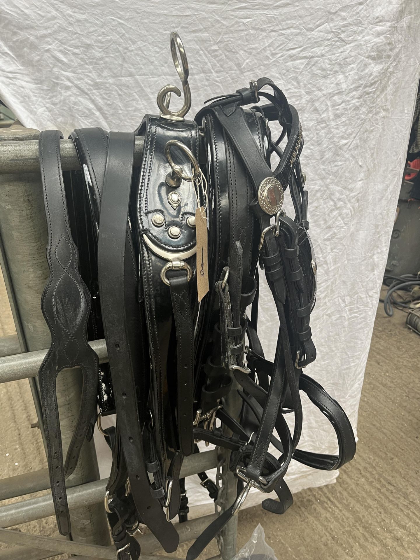 Full size Hartland patent leather show/presentation harness, complete set brand new, never been used - Image 3 of 6