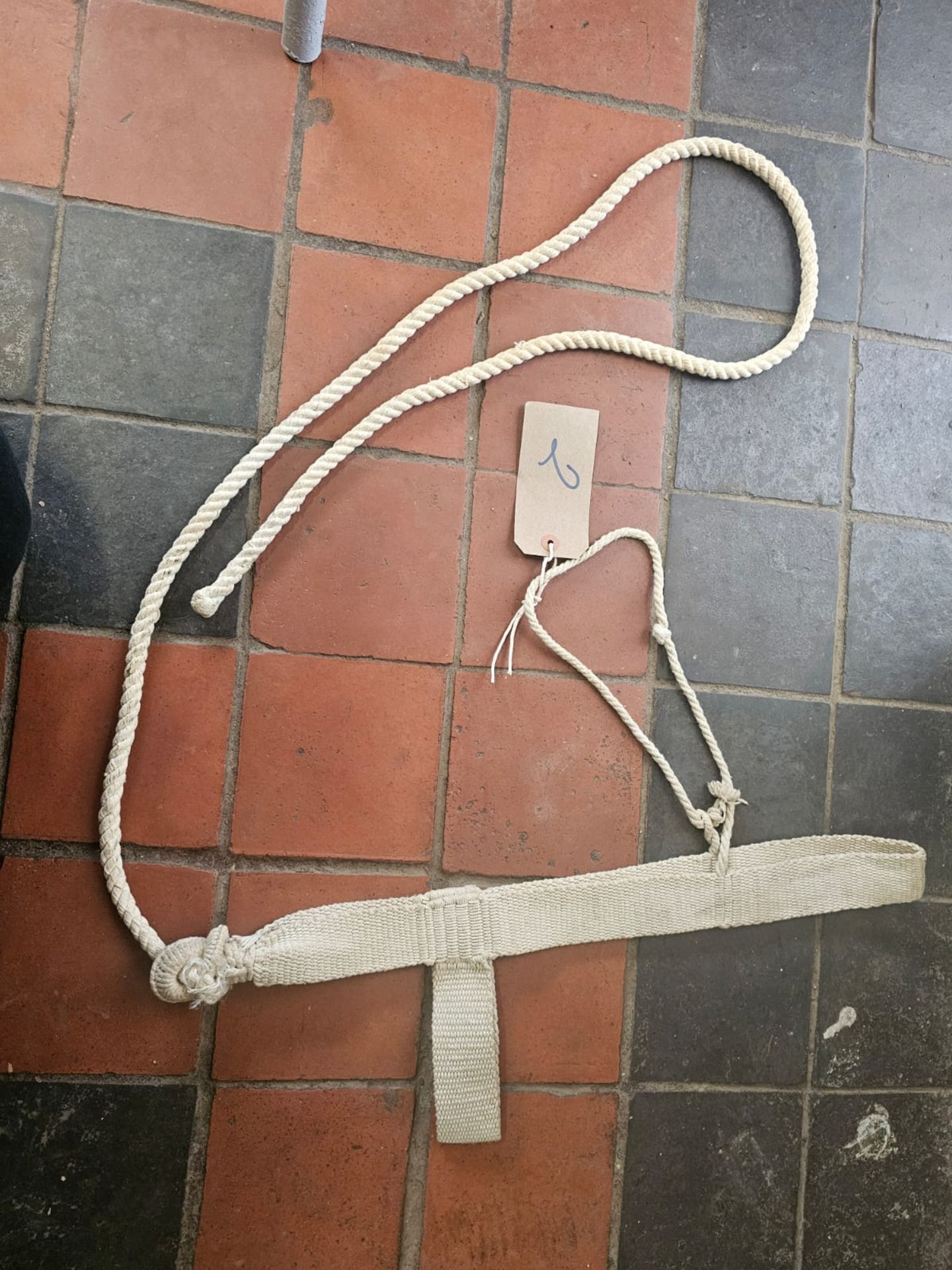 Original Yorkshire halter. - Image 2 of 2