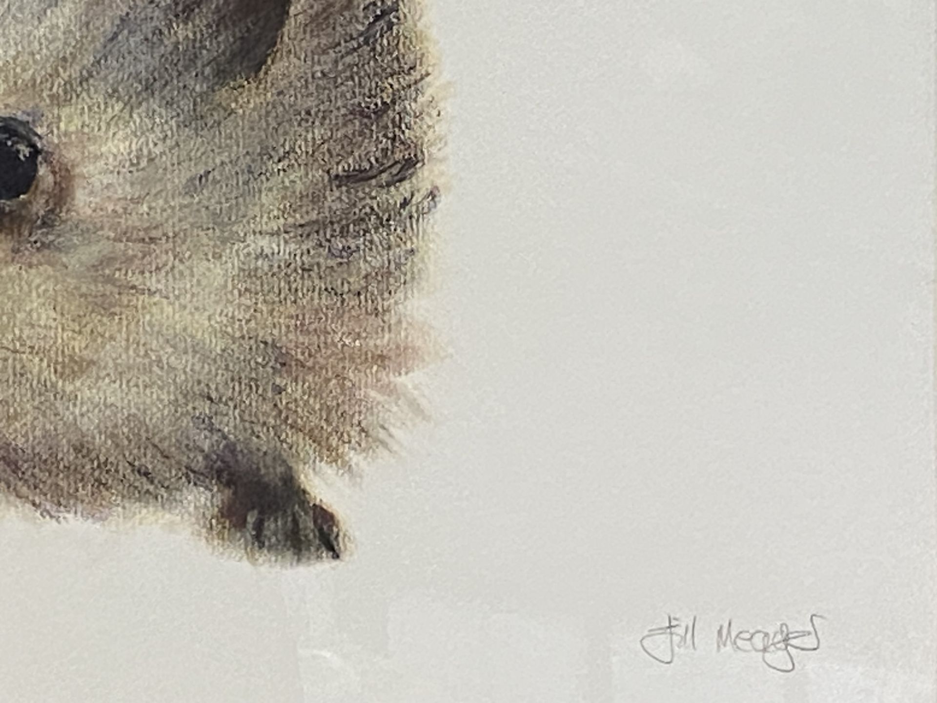 Framed and glazed pastel drawing of a hedgehog, signed Gill Meager - Image 4 of 4