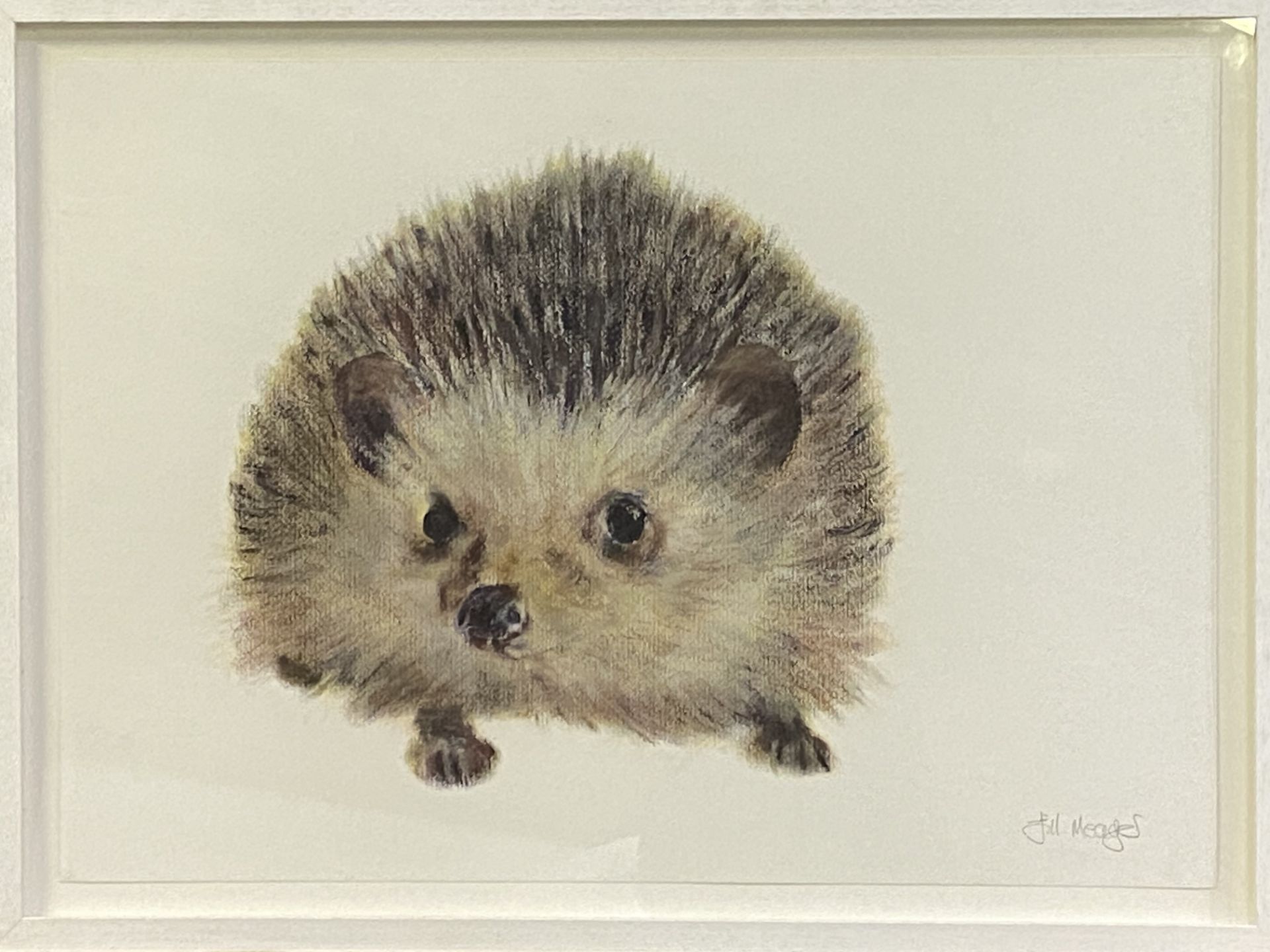Framed and glazed pastel drawing of a hedgehog, signed Gill Meager - Image 2 of 4