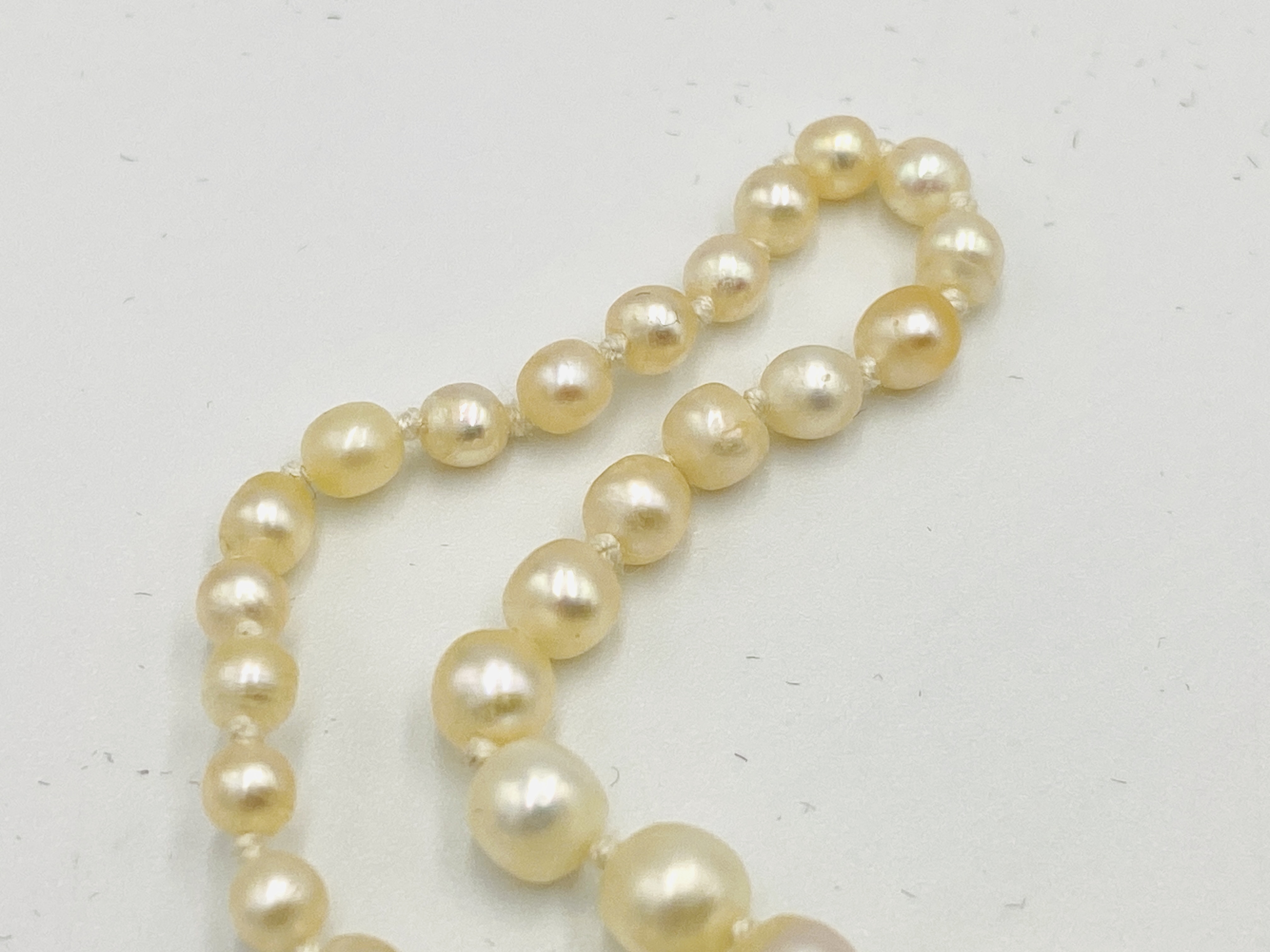 Graduated pearl necklace with certificate - Image 2 of 6