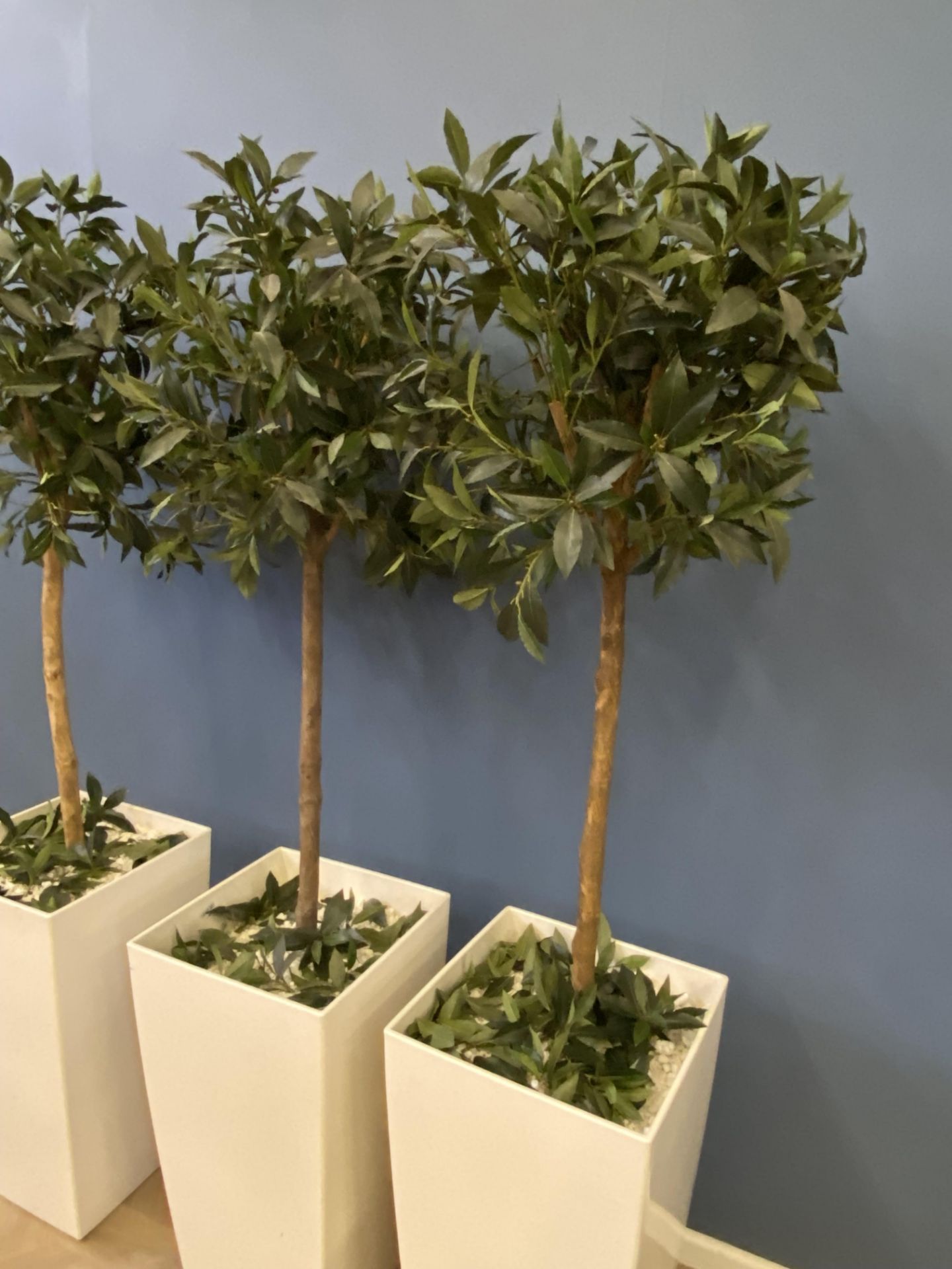 Three artificial trees in pots - Image 4 of 5