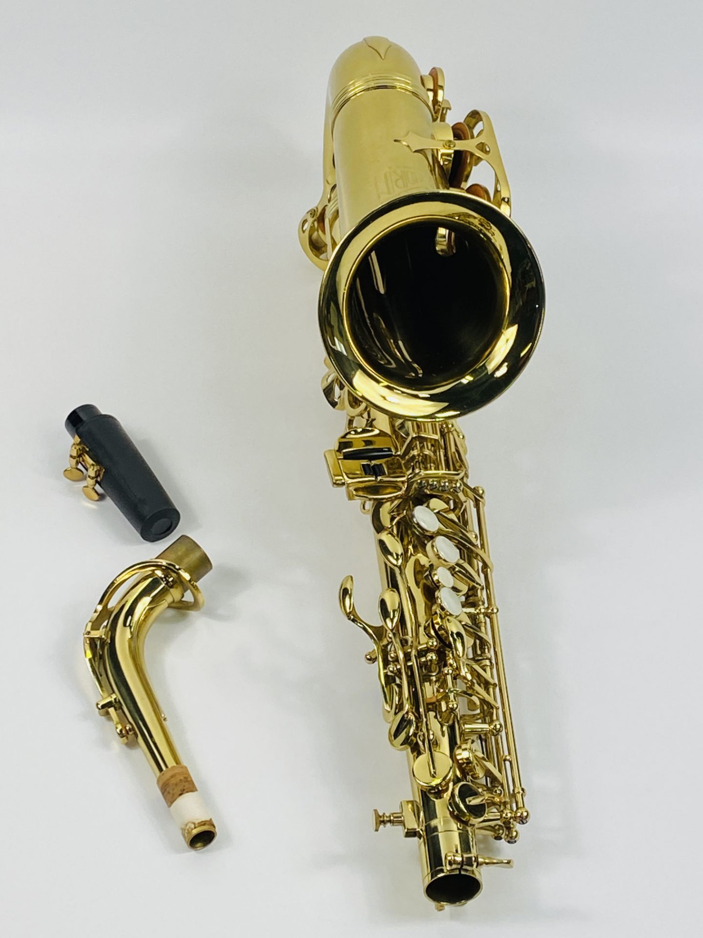 Trevor J James & Co, The Horn saxophone - Image 5 of 8