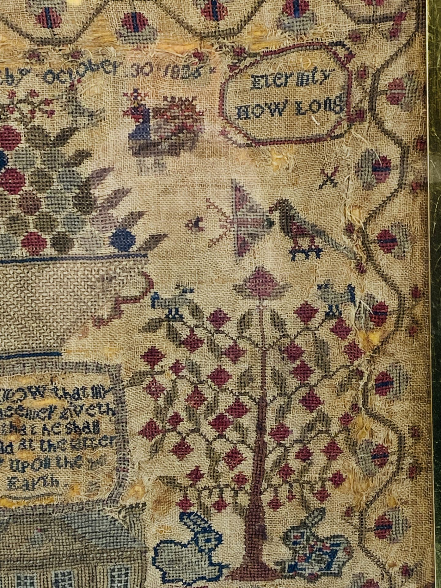 Framed and glazed sampler by Elizabeth Swire, 1826 - Image 5 of 6