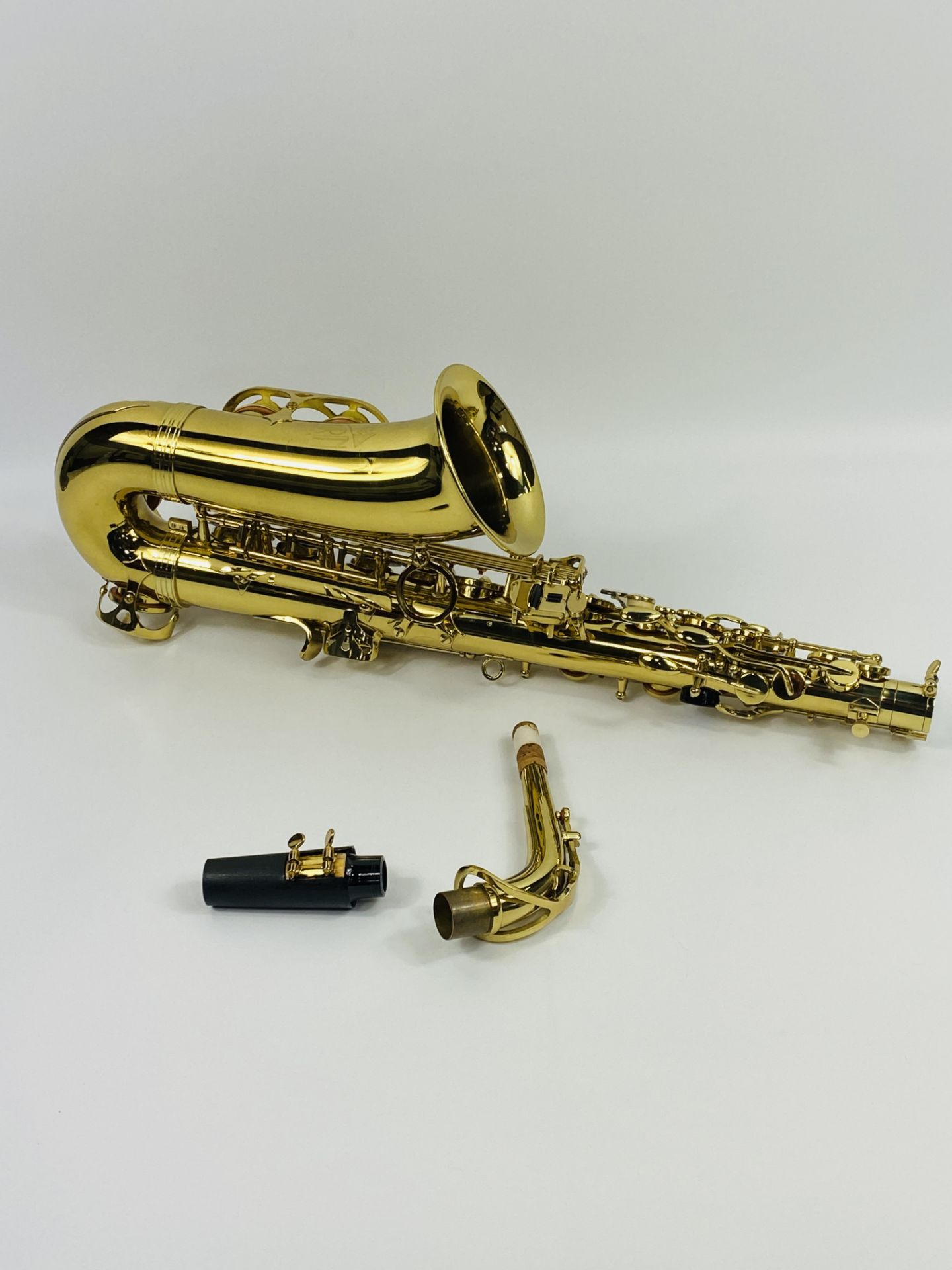 Trevor J James & Co, The Horn saxophone - Image 6 of 8