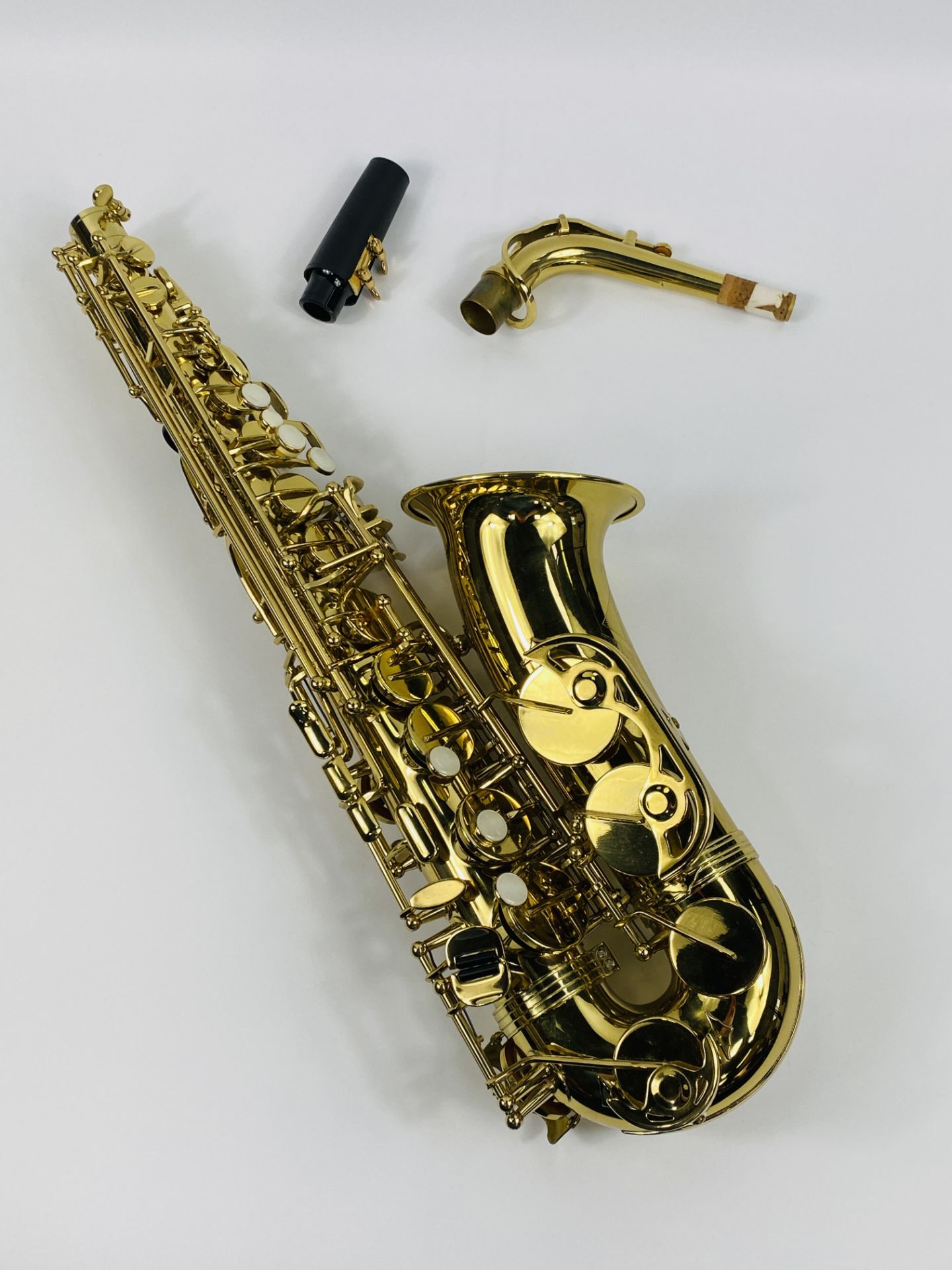 Trevor J James & Co, The Horn saxophone - Image 3 of 8